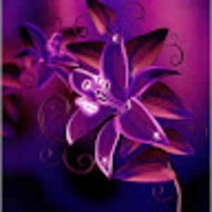 Meet your Posher, Natasha